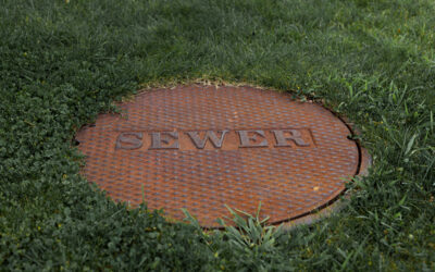 Why Your Home Might Need Sewer Repair (And What to Do In the Meantime)