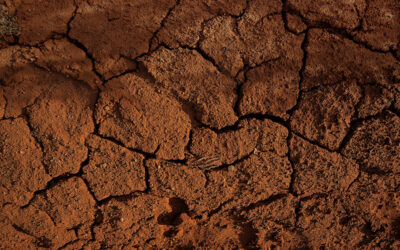 Oklahoma’s Shifting Clay Soil and Your Sewer Lines